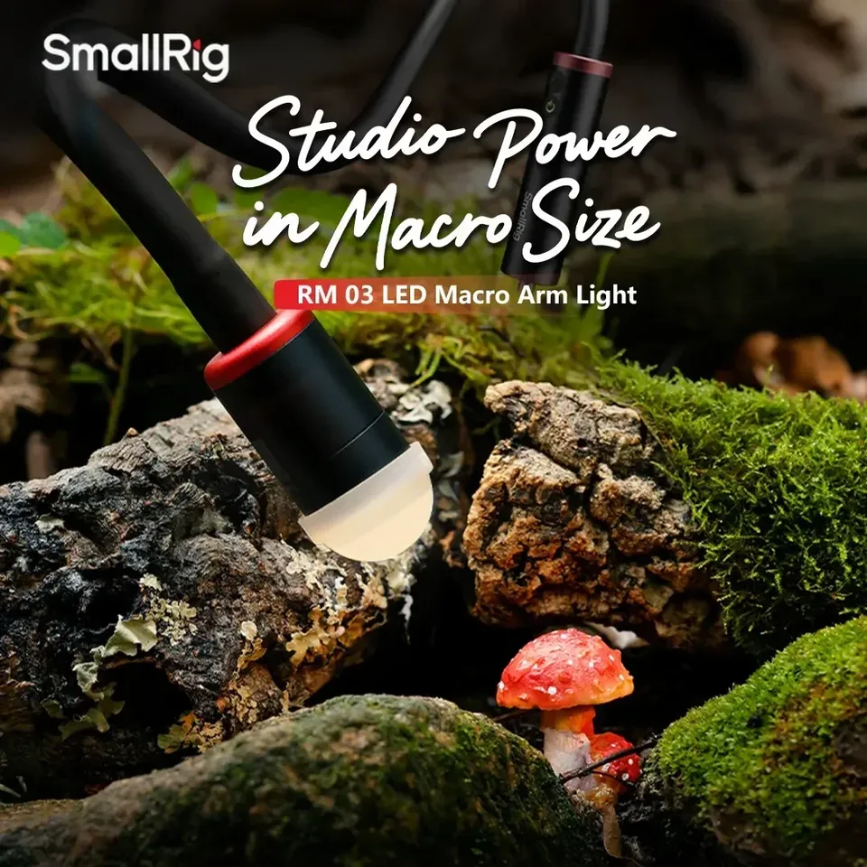 ل Smallrig RM-03 3 واط LED ماك - مراجعة Photography Lighting Angles وسعره