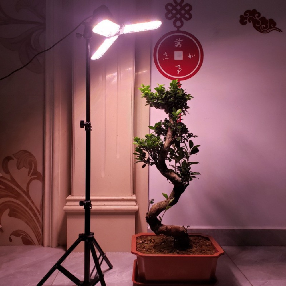 حامل لمبة الضوء 2 متر، مقبس تي - مراجعة Photography Lighting Mount وسعره