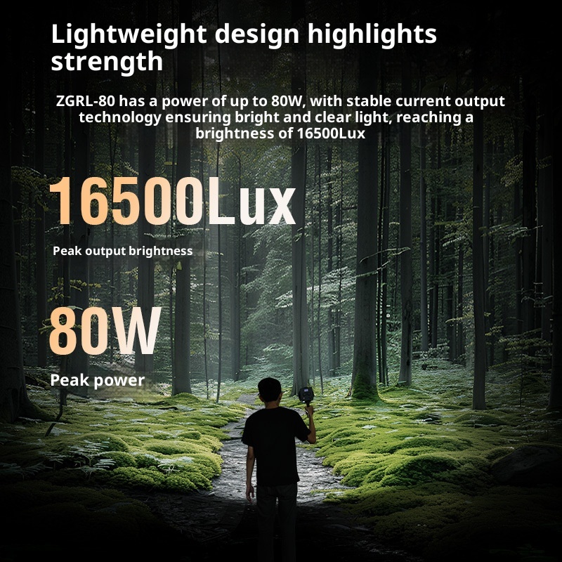 ZGRL80 80 واط COB LED الفيديو  - مراجعة Photography Lighting For Outdoors وسعره